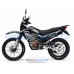 Regulmoto Grizzly PR300PRO с ПТС